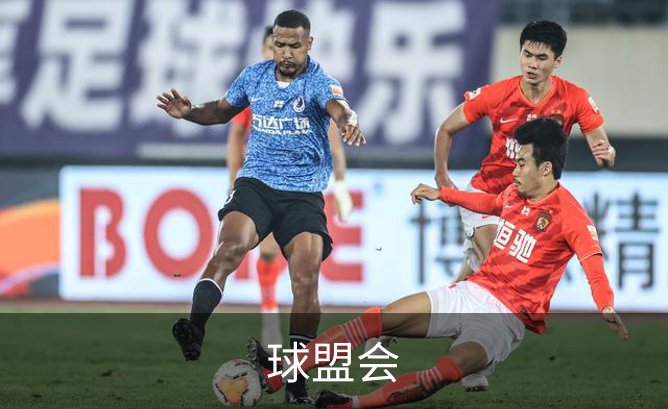 球盟会介绍